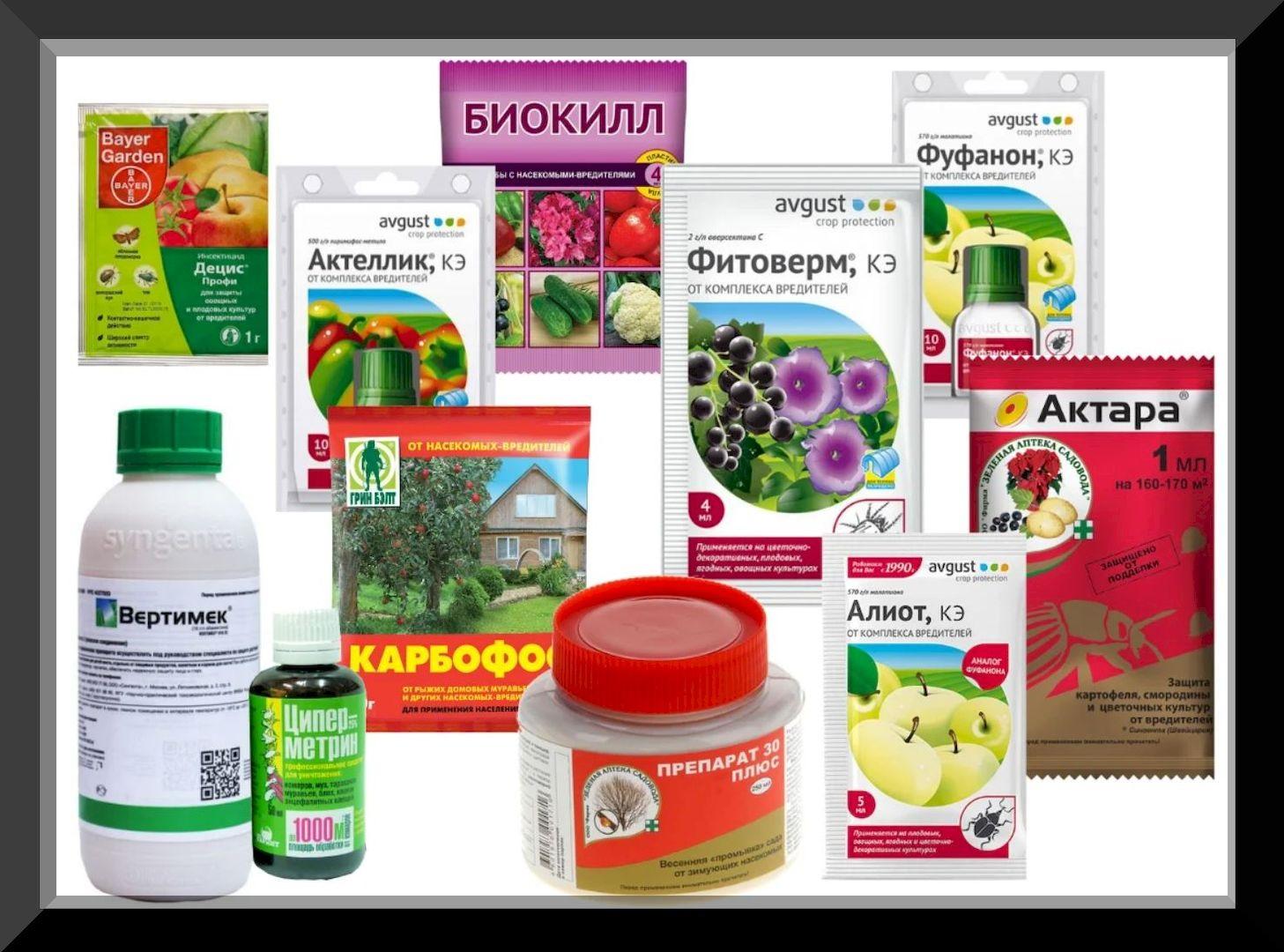 СОВРЕМЕННЫЕ ЭФФЕКТИВНЫЕ ПРЕПАРАТЫ